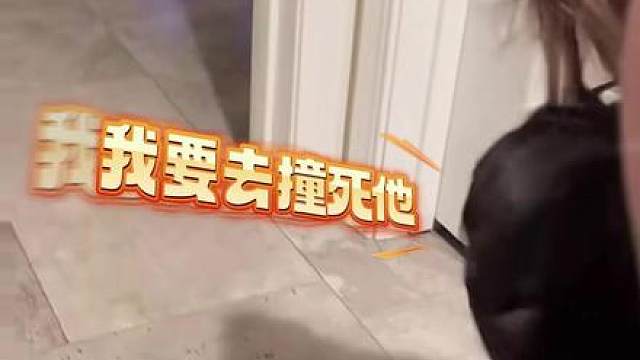 当亲戚家的小猫来做客