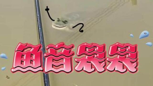 钓鱼佬竟然在野外遭遇草鱼的调戏！
