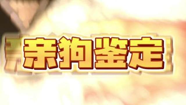 狗：我就知道我是妈沫亲生的
