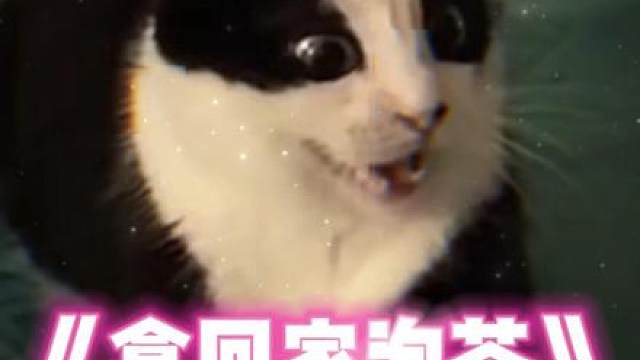 随机挑选一位送出这双袜子