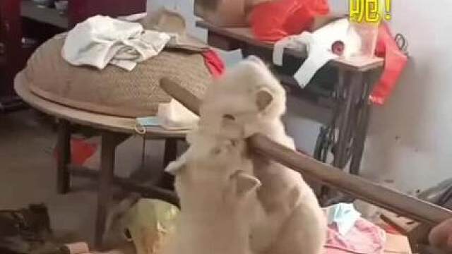 救我