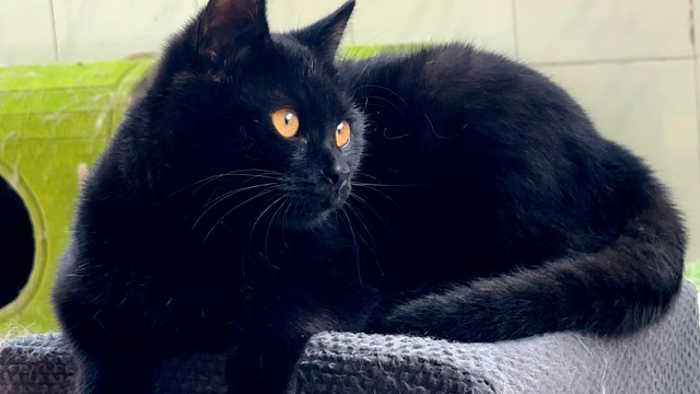 这个小碳碳也有半岁喽