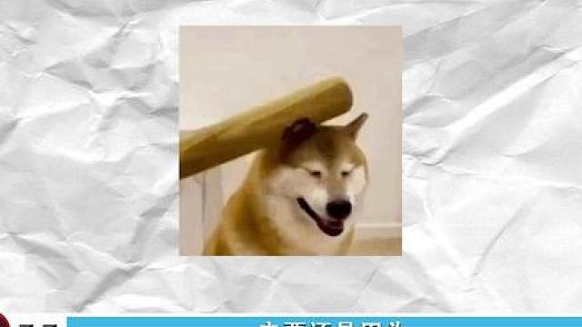 母胎单身的迷惑操作，这波真是照镜子了