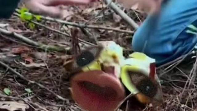 呜呜呜呜呜呜呜呜呜永远加不起