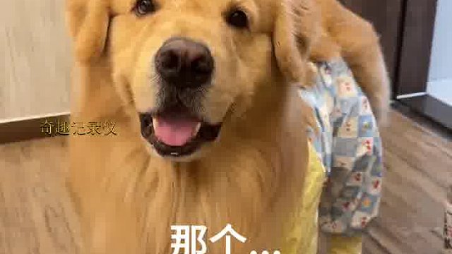 吃不饱根本吃不饱
