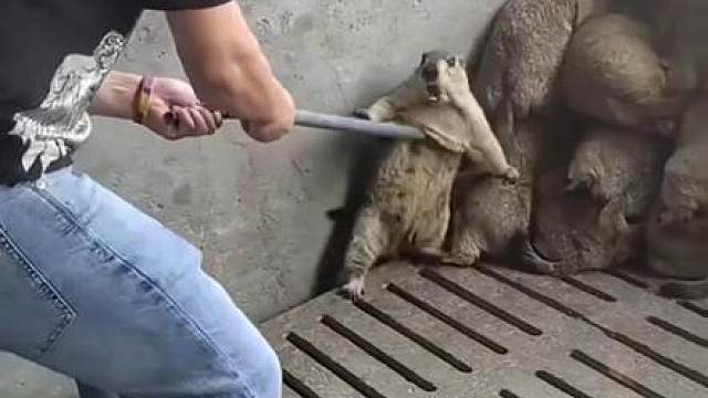 他看不见我！他看不见我！