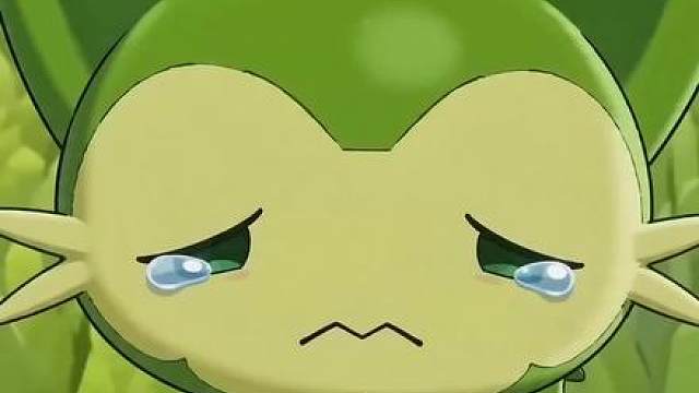 开服就要选喵喵！