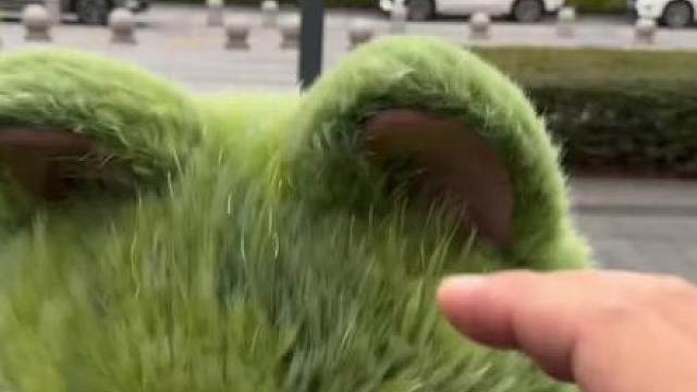 喵喵的课前培训