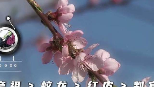Ⅰ丨豪の言