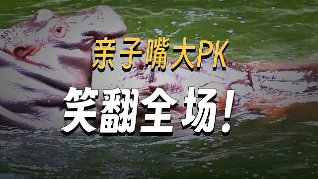小河马：不比了！再比我要生气了
