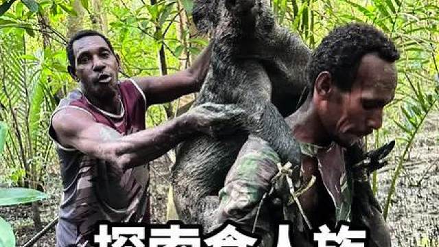 在原始部落生活这么多天让我看了很多从来没见到的东西，没想到第二天我们竟然看到了鳄鱼！