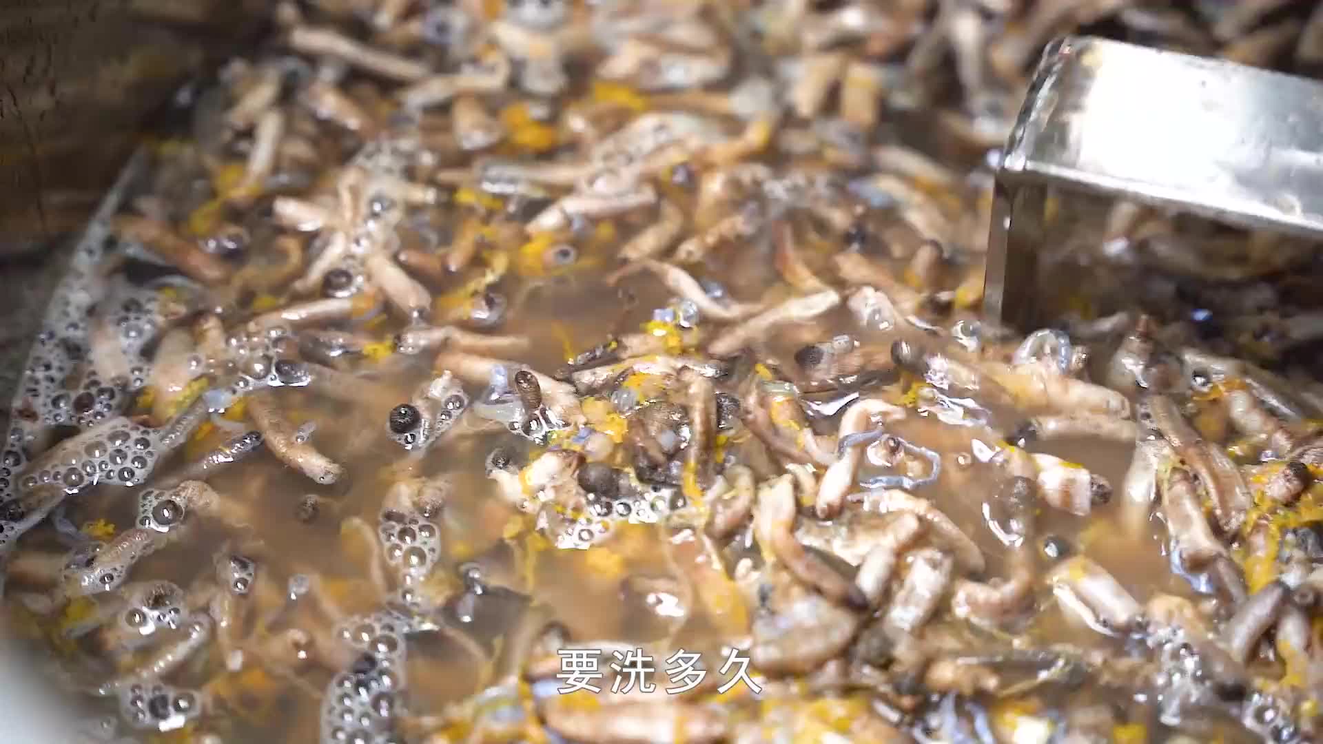 90后兄妹做厦门市非遗小吃，1天用500斤虫子，土笋冻是虫不是笋