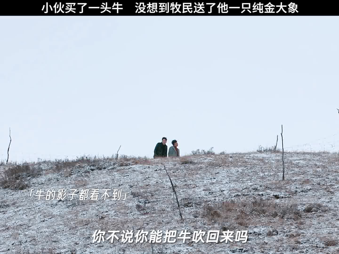没想到买头牛还能有意外收获！