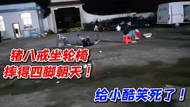 猪八戒坐轮椅摔得四脚朝天！给小酷笑死了