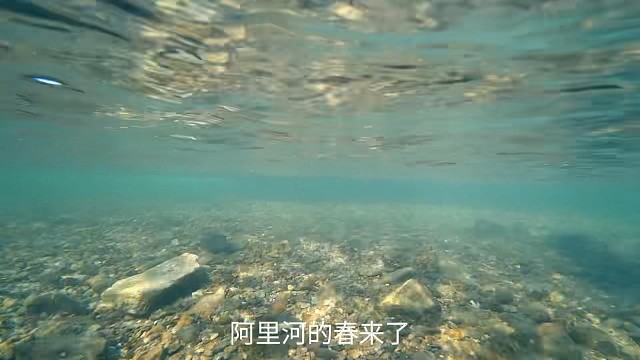 阿里河的春天