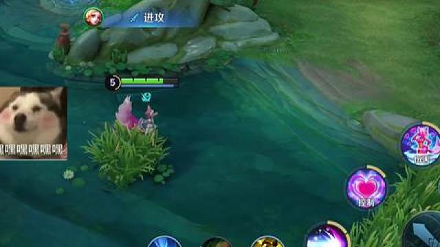 韩信夏侯惇你们可真是难兄难弟。以后看到我妲己王躲开点哦，哈哈哈，妲己很无敌的。