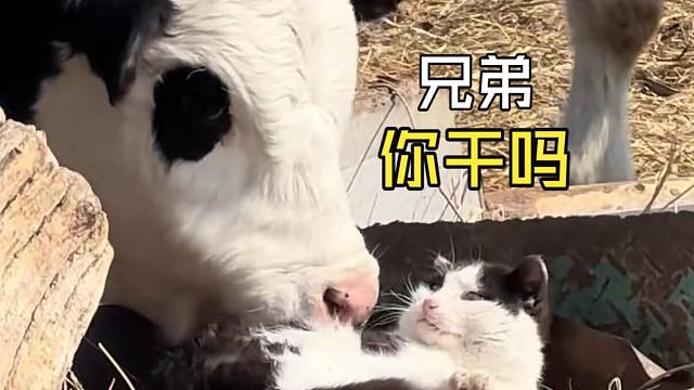 那些动物们的用餐时间！