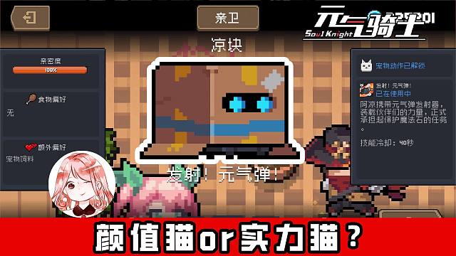 元气骑士：新宠物凉快！是颜值猫，还是实力猫？