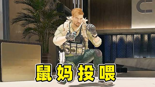 认鼠鼠当大哥！直接当巨婴！