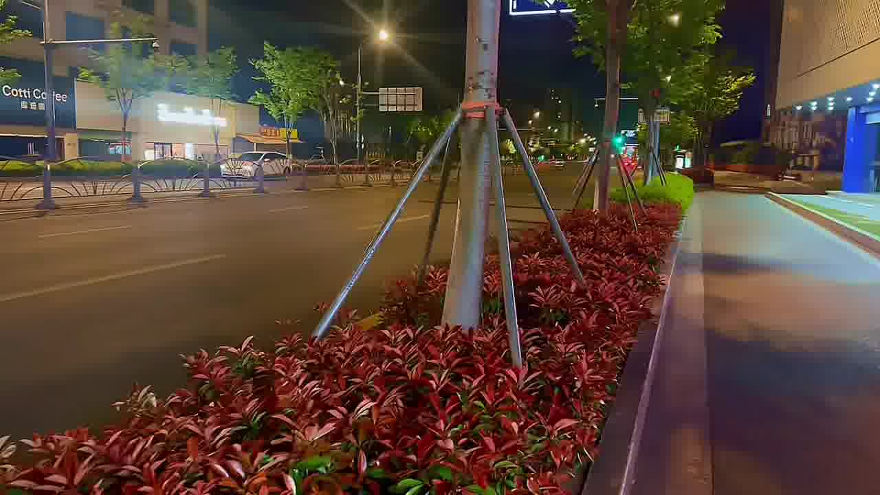 真正爱你的人 你什么都不要管