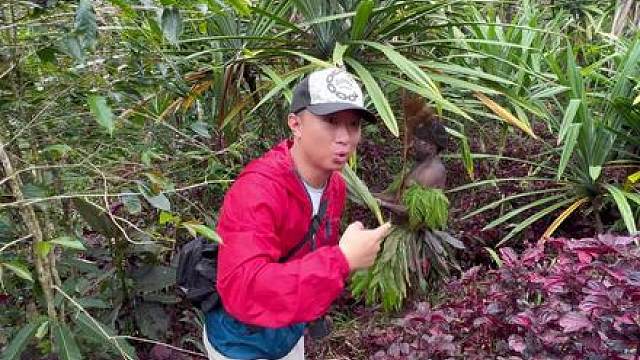 兄弟们，要是你每天吃这些美食，你能坚持几天？一周能瘦多少斤