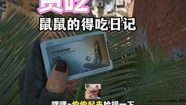 今天的绝巴对白毛小鼠有点好