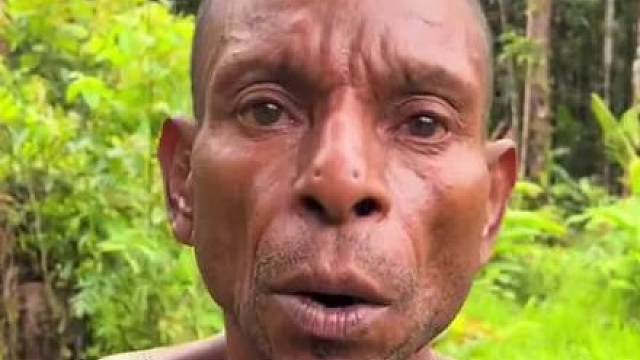 树人部落树人部落