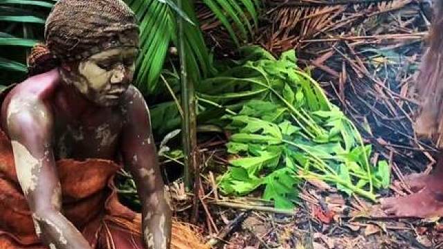 穿越奇境第八季完整版：走进巴布亚，解锁土著神秘生活。 穿越奇境第八季完整版：走进巴布亚，解锁土著神秘生活，与土著共渡原始生活！