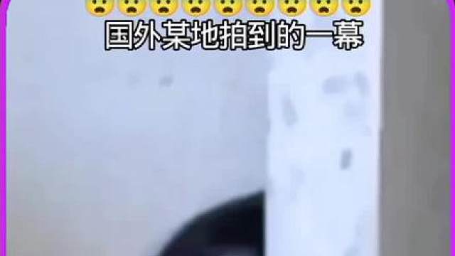 这人躲里面做什么