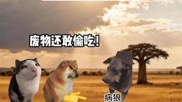 当猿人和狼强强联手
