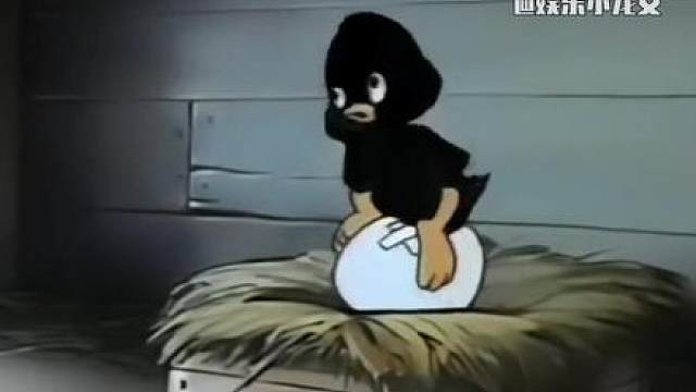 小黑鸭：你来呗！来就送你上天玩