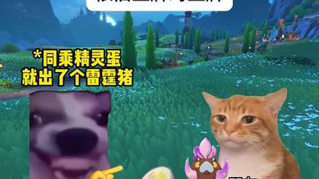 我发布了一个新视频，快来围观吧！