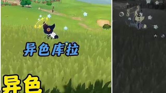 5只污染就有两只异色？学会记得交作业