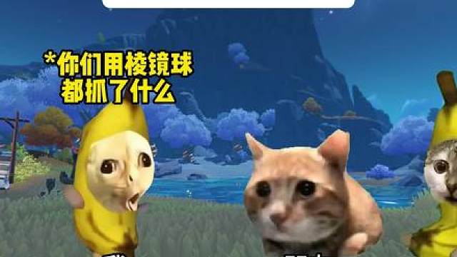 不同人是怎么用棱镜球的