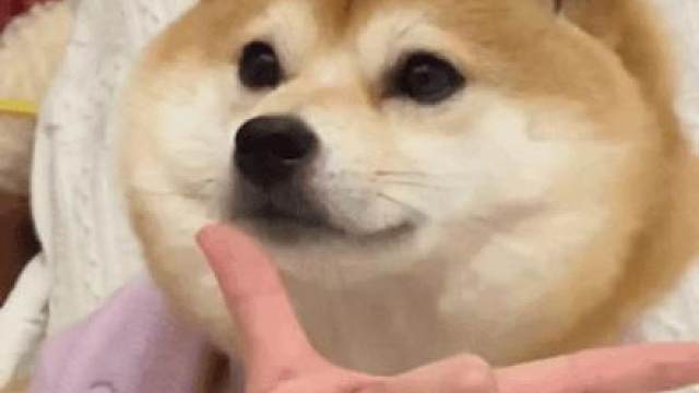 清明假期去哪玩，卡洛西亚大陆约起来