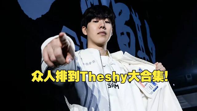 众人排到Theshy大合集！
