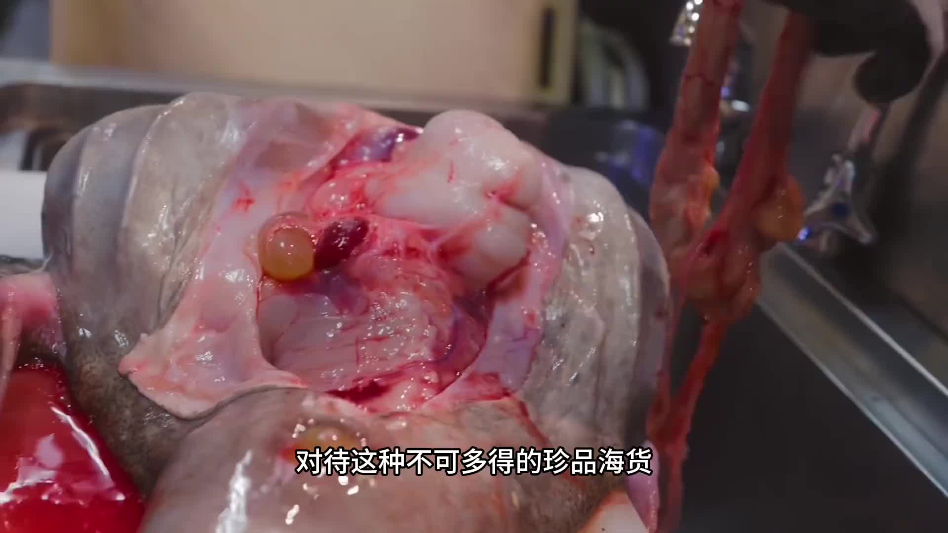 连狗都不吃的安康鱼，在当地却被吃出高价而且是只用来做成刺身品尝，都不知道多美味。