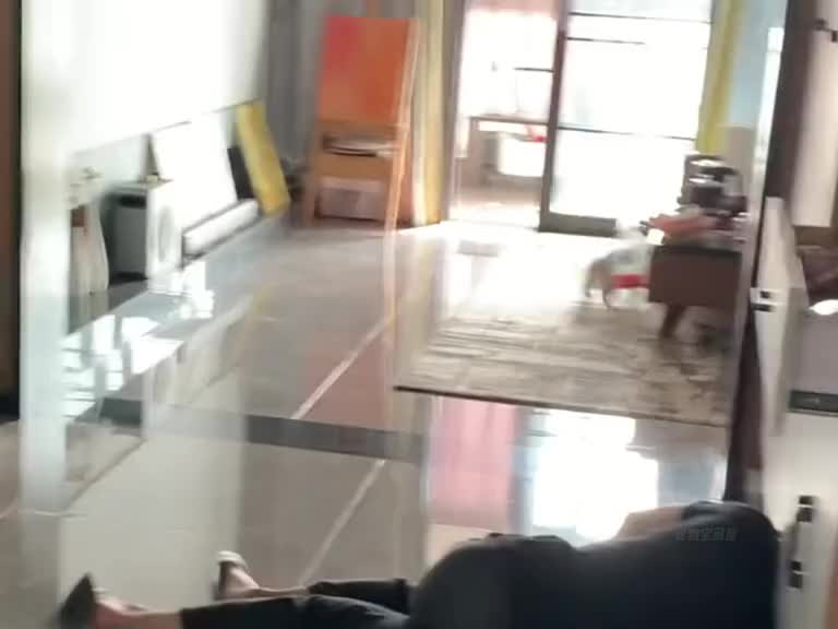 猫猫：开庭时带上你那个破视频！