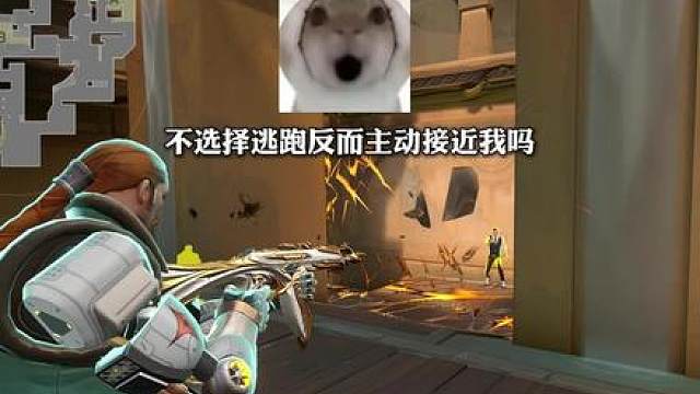 不选择逃跑反而主动接近我吗