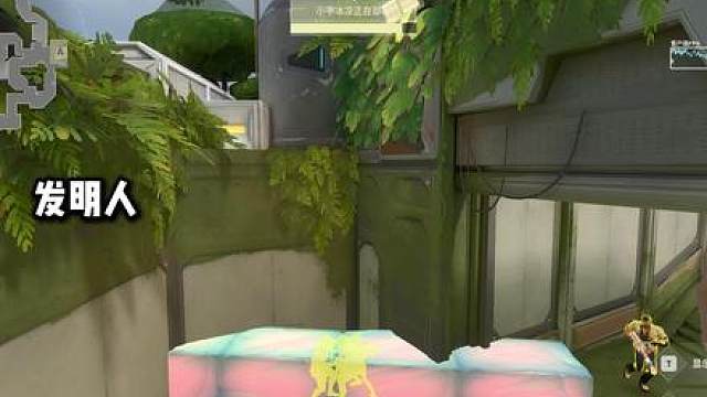 每天直播带粉体验