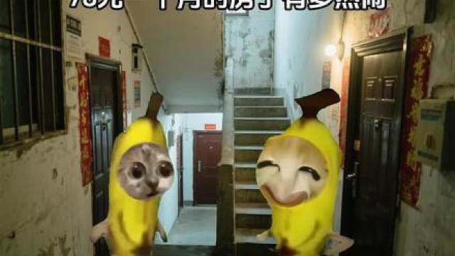 78元一个月的房子有多热闹