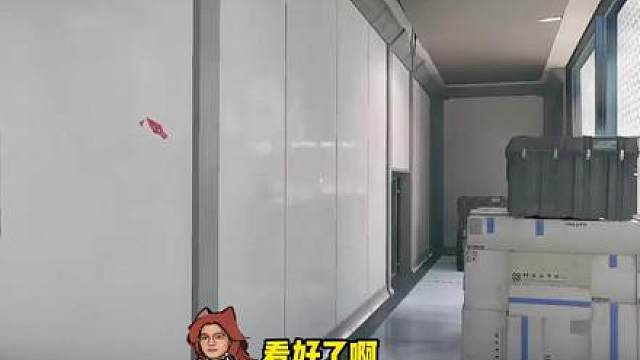 一个翻滚就飞出屏幕了