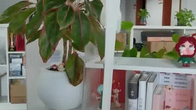 防静电丁腈手套供应商怎么选