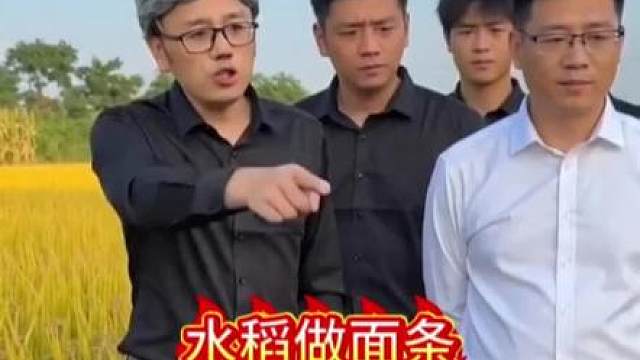 专家来了