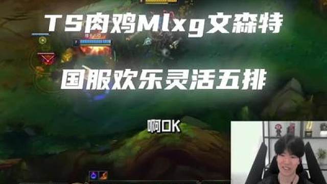shy哥rookie文森特mlxg小海国服欢乐五排。对面排到这几个人，这是触犯天条了吗？