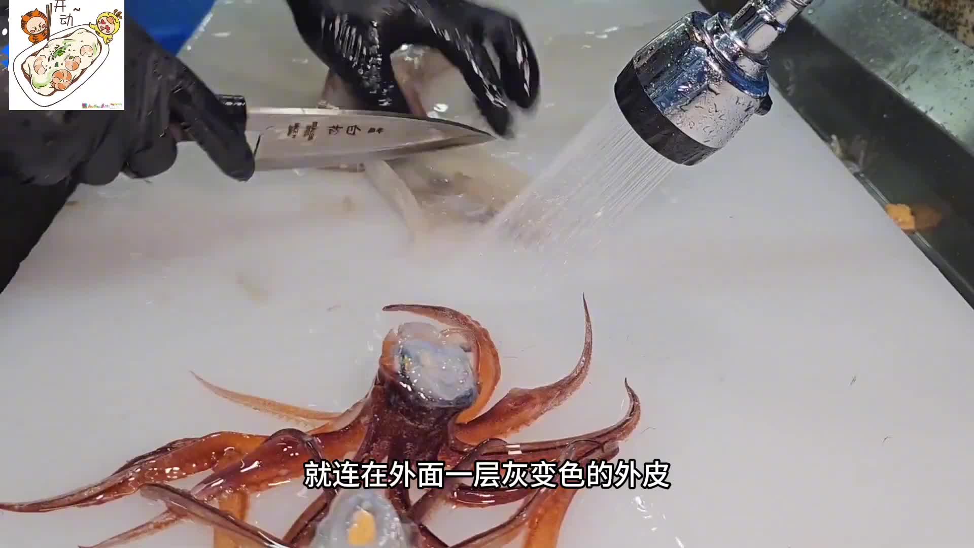 鱿鱼已经进化成在海里无敌的模样，但还是逃不过被做成刺身的命运。