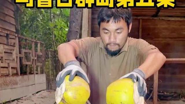 马鲁古群岛第五集：洗西谷椰树淀粉做饼后开启忙碌，一周辛苦作业后，装置终于传来好消息！