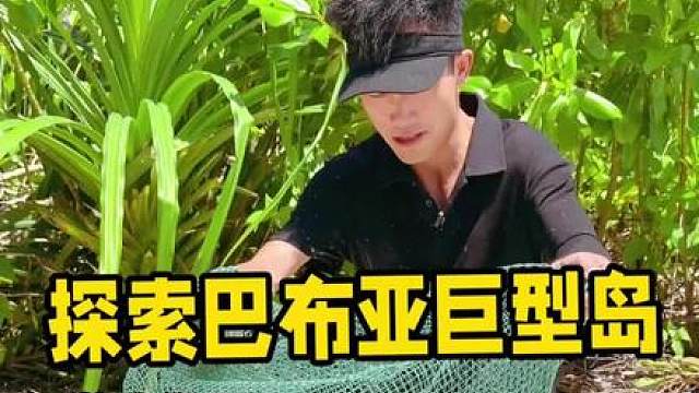 探索巴布亚巨型岛屿第二集，夜潜发现大量龙虾后开始升级庇护所打造野猪陷阱！