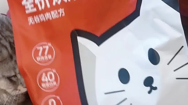 猫粮哪个好？猫咪爱不爱吃开袋就知道