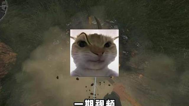 宝藏堆全点位 新赛季爆率巨高！